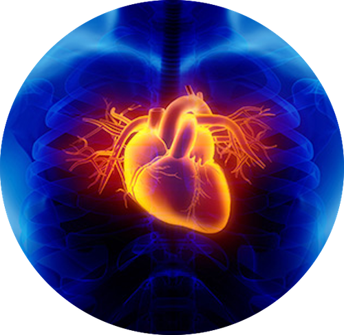 CARDIOVASCULAR DISEASES