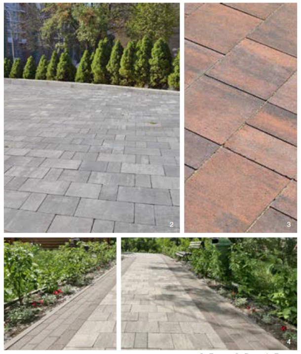 лайнстоун 20