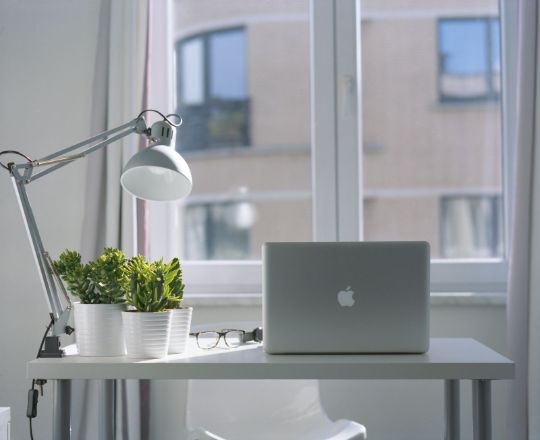 calm desk at a window with a laptop open and a lamp and succulent plants on the side.