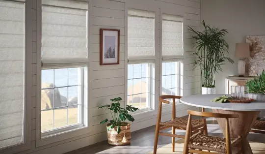 Classic Roman Shades