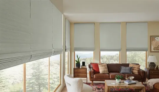 Natural Woven Wood Shades