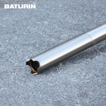 Progressive Cavity Pump BATURIN ®