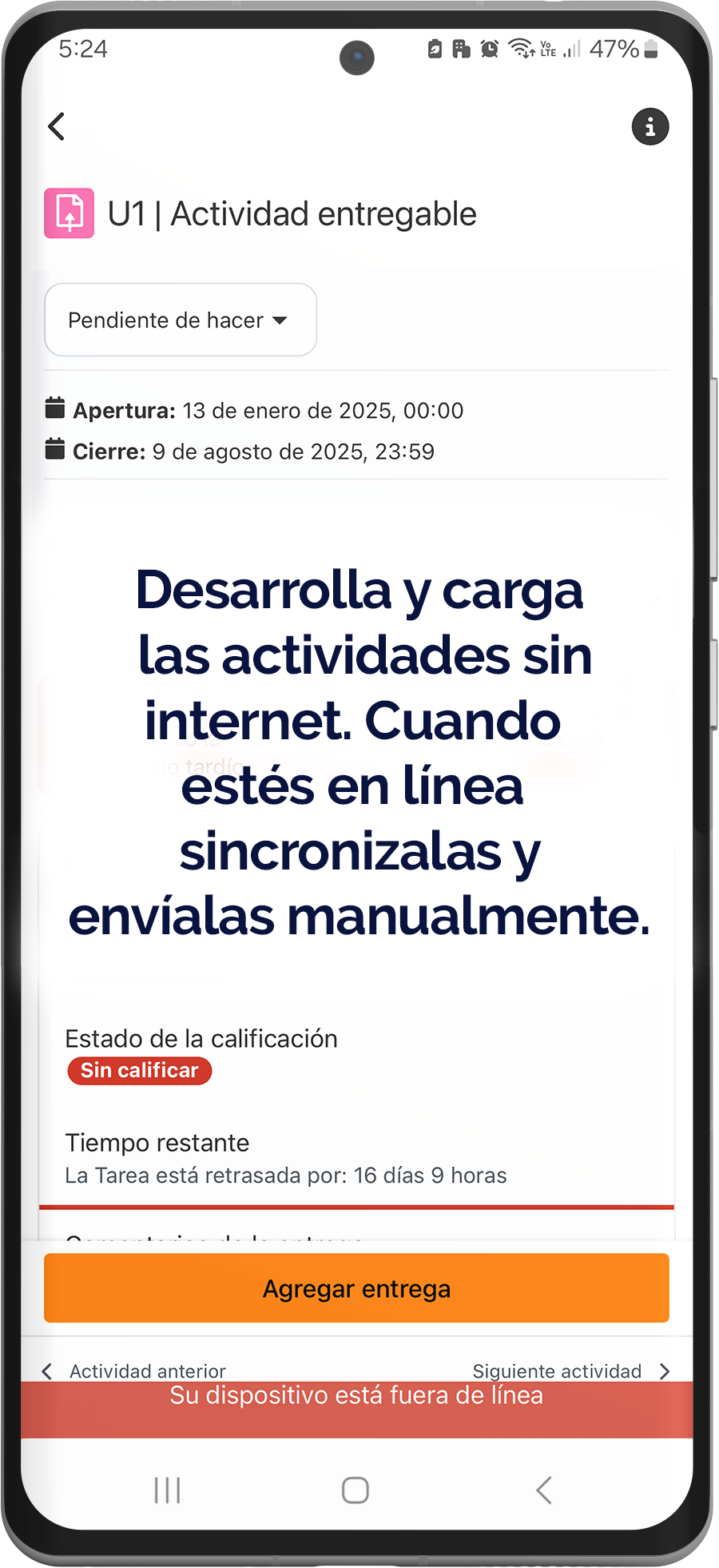 Desarrolla y carga las actividades sin internet para que al sincronizarse se envíen