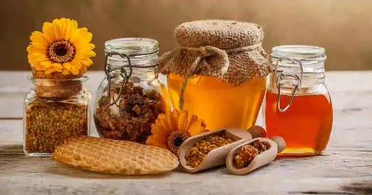 ფუტკრის პროდუქცია
