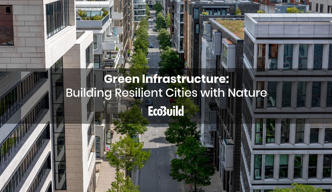 Green Infrastructure: Building Resilient Cities with Nature