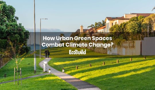 How Urban Green Spaces Combat Climate Change?