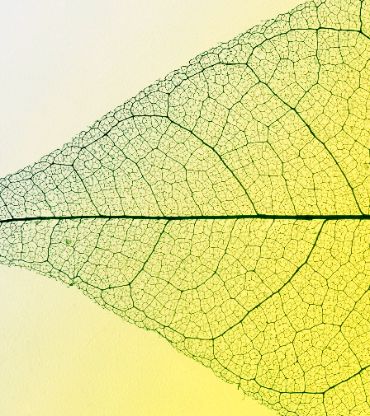 GHG & EMBODIED CARBON