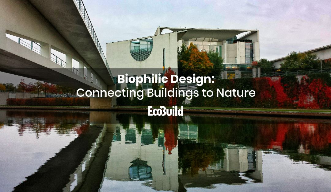 Biophilic Design: Connecting Buildings to Nature