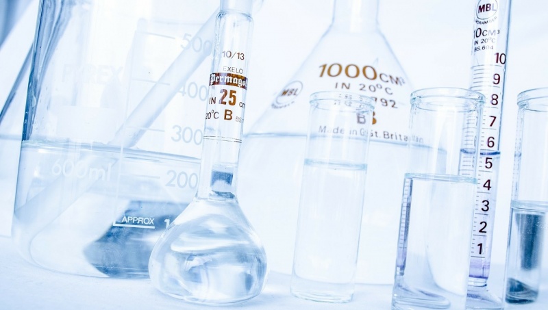 lab