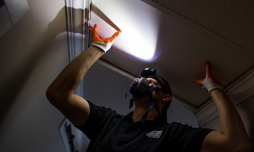 Building Services Borescope, Building Inspector Borescope, Building ...