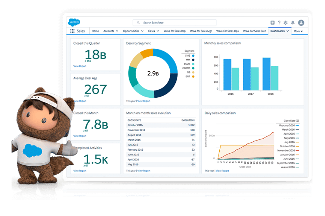 Salesforce CRM dashboard showing sales performance metrics and deal segmentation representing Reyada's partnership
