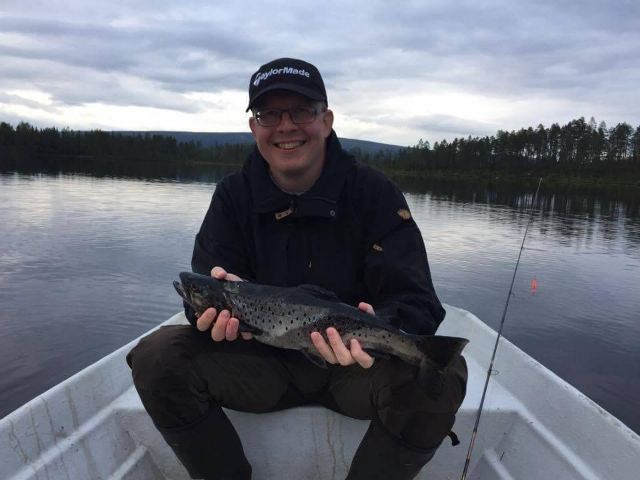 Kvistning med motorsåg