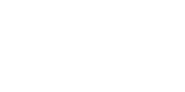Zidi