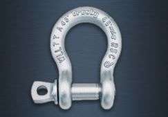 G209 A ALLOY SCREW PIN ANCHOR SHACKLES