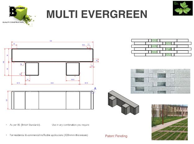 Multi Pave Evergreen