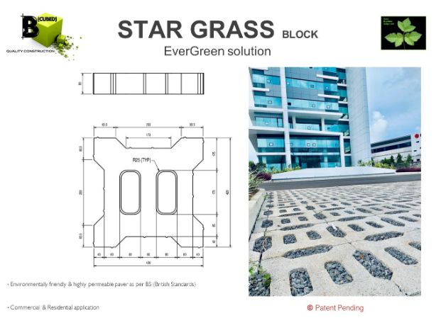 Star Grass